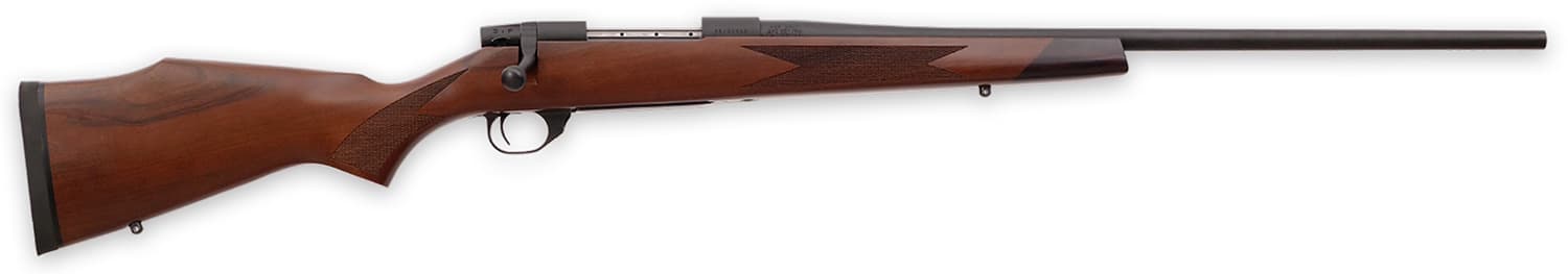 WTHBY Vanguard