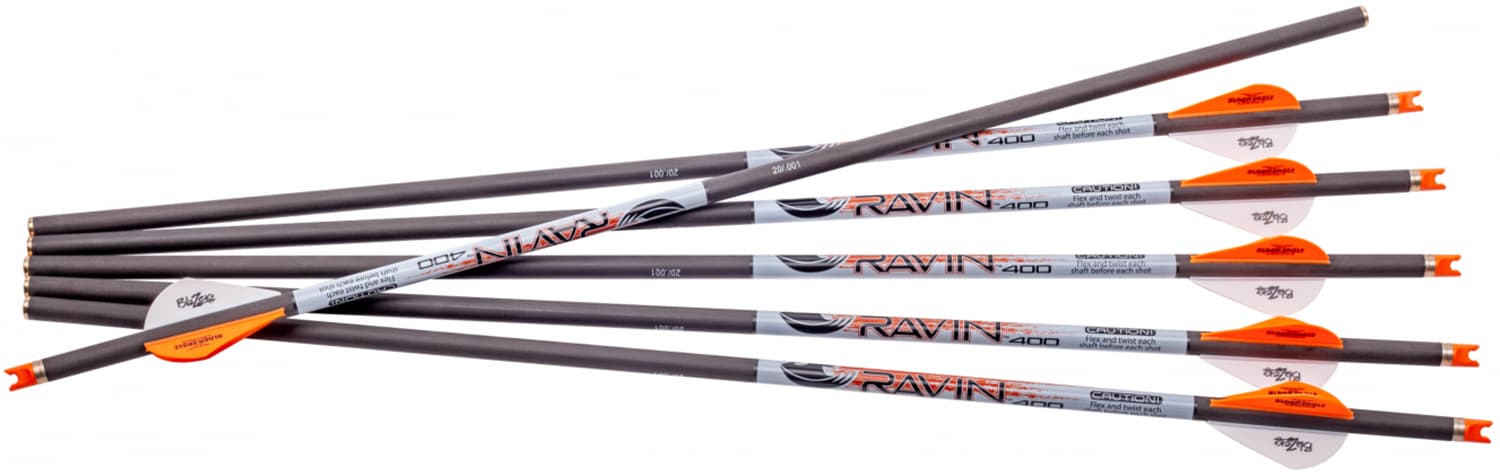 RAVIN Arrows