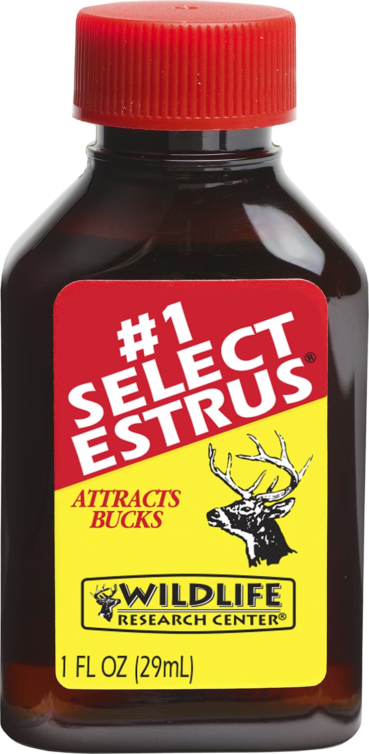 WILD #1 Select